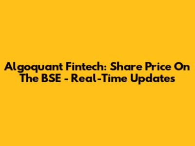 Algoquant Fintech: Share Price On The BSE - Real-Time Updates