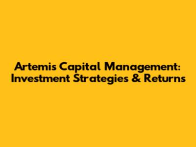 Artemis Capital Management: Investment Strategies & Returns