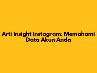 Arti Insight Instagram: Memahami Data Akun Anda