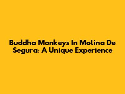 Buddha Monkeys In Molina De Segura: A Unique Experience