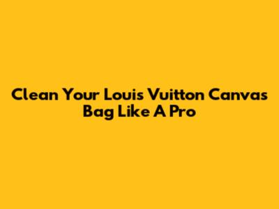 Clean Your Louis Vuitton Canvas Bag Like A Pro
