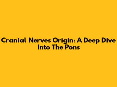 Cranial Nerves Origin: A Deep Dive Into The Pons