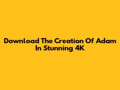 Download The Creation Of Adam In Stunning 4K
