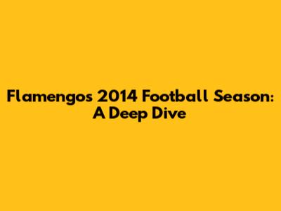 Flamengo's 2014 Football Season: A Deep Dive