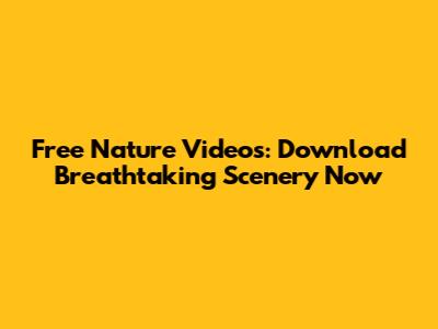 Free Nature Videos: Download Breathtaking Scenery Now