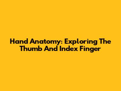Hand Anatomy: Exploring The Thumb And Index Finger