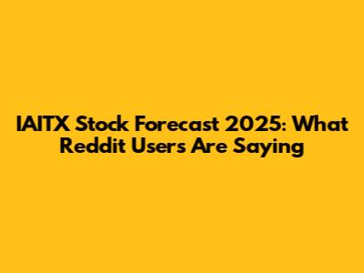 IAITX Stock Forecast 2025: What Reddit Users Are Saying