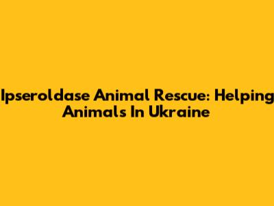 Ipseroldase Animal Rescue: Helping Animals In Ukraine