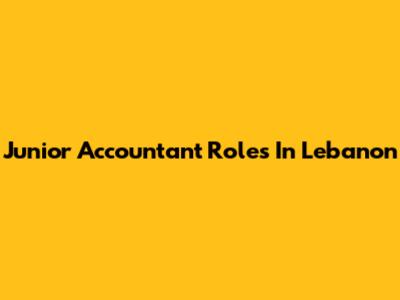 Junior Accountant Roles In Lebanon