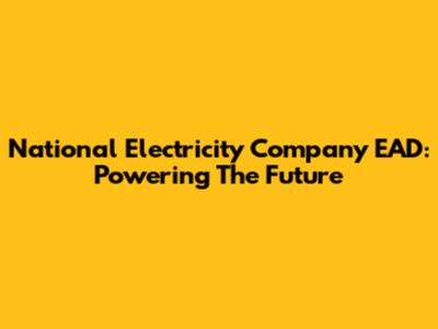 National Electricity Company EAD: Powering The Future