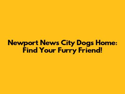 Newport News City Dogs Home: Find Your Furry Friend!