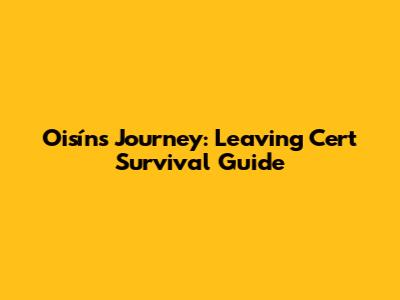 Oisín's Journey: Leaving Cert Survival Guide