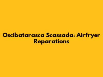 Oscibatarasca Scassada: Airfryer Reparations