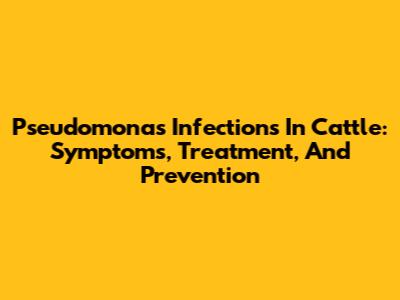 Pseudomonas Infections In Cattle: Symptoms, Treatment, And Prevention