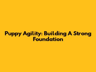Puppy Agility: Building A Strong Foundation
