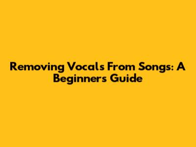 Removing Vocals From Songs: A Beginner's Guide