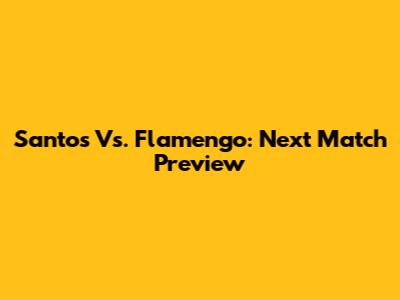 Santos Vs. Flamengo: Next Match Preview