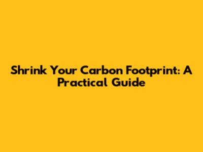 Shrink Your Carbon Footprint: A Practical Guide