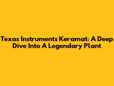 Texas Instruments Keramat: A Deep Dive Into A Legendary Plant