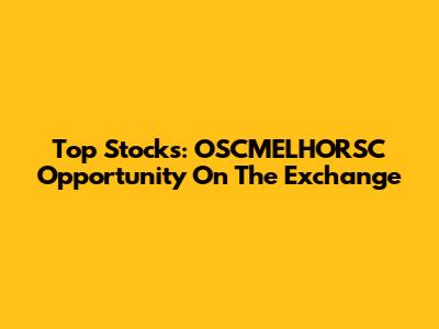Top Stocks: OSCMELHORSC Opportunity On The Exchange