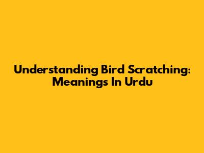 Understanding Bird Scratching: Meanings In Urdu