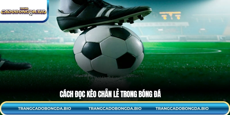 Cách đọc kèo chẵn lẻ trong bóng đá